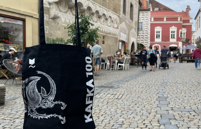 D9FD6000-8297-497A-A112-FCDBBBA3F459_1_105_c