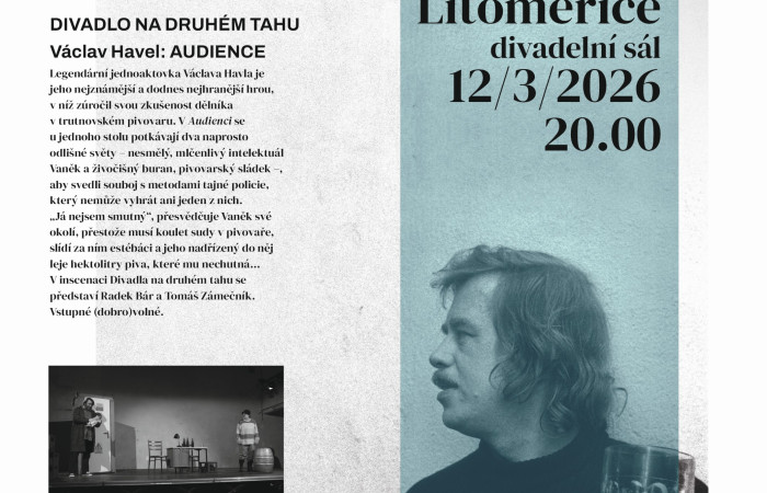 VH_tady_a_ted_poster_A4_Audience